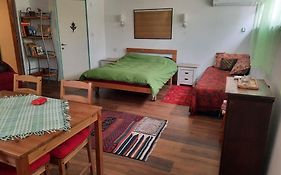 הבית הירוק - Green House